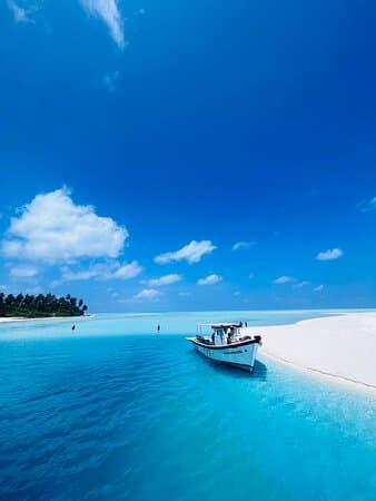 Palm-fringed beach in Lakshadweep